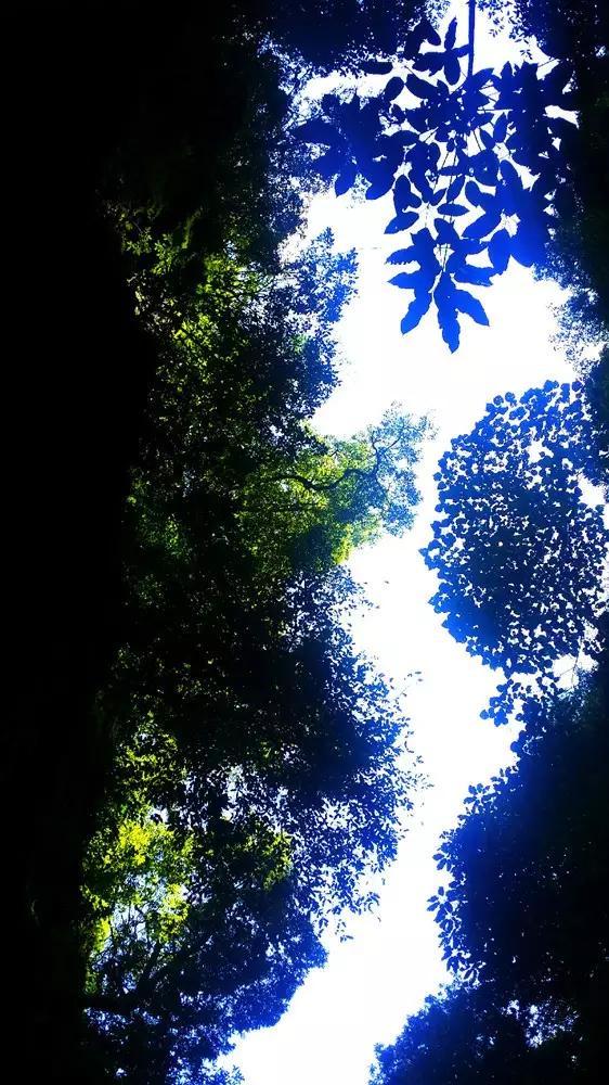 探索同桌每天都“八嘎呀路”“哟西哟西”是不是得了病?知识星球 | 加入我们的独特知识社群